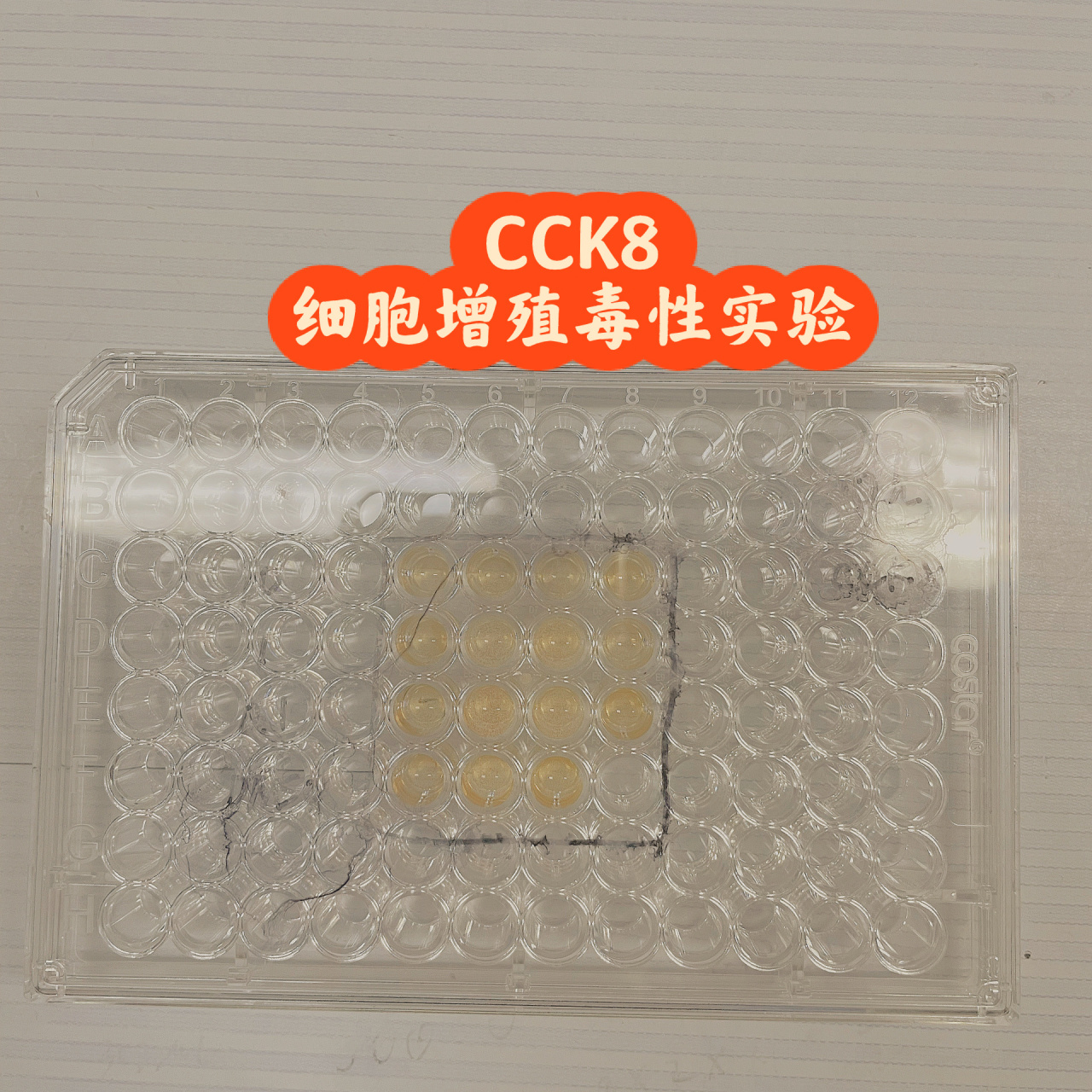 cck(cck是哪个明星的缩写)